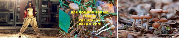 соль ск Абинск