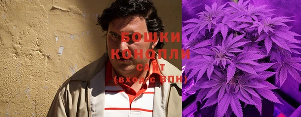 MESCALINE Галич